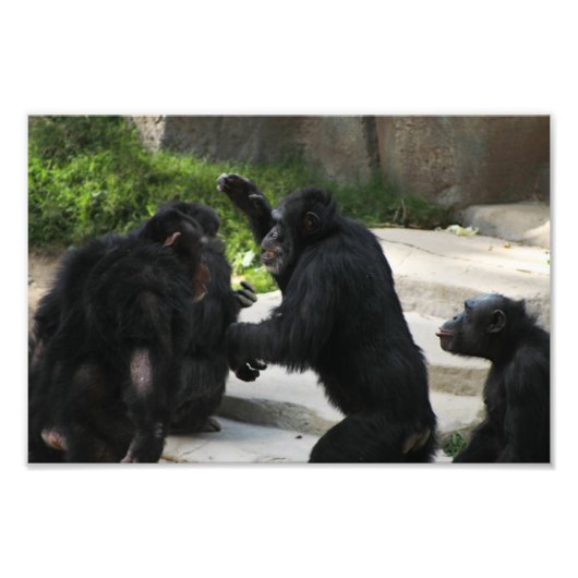 ロサンゼルス動物園 フォトプリント            (正面)