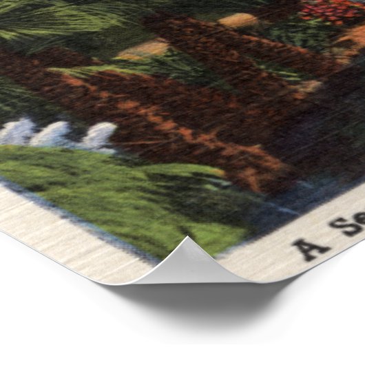 ロサンゼルス・カリフォルニア美しい公園の風景 ポスター (角)