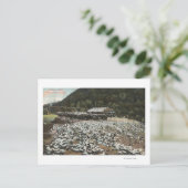 ロサンゼルス、カリフォルニア鳩ファームのビュー ポストカード (スタンド正面)