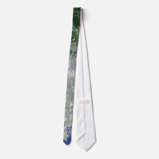 ロサンゼルス ネクタイ (裏面)