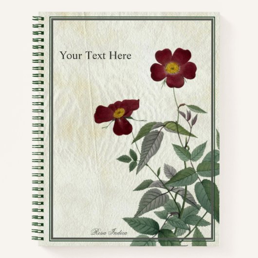 ロサ・インディカ ノートブック (正面)