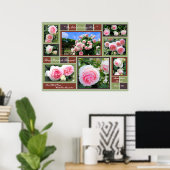 ロサ・ピエール・デ・ロンサール[アートポスター] ポスター (ホームオフィス)