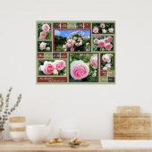 ロサ・ピエール・デ・ロンサール[アートポスター] ポスター (キッチン)