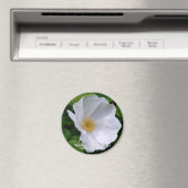 ロサ・ルゴサマグネット マグネット (インサイチュ (食洗機))