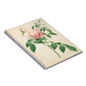 ロザインディカフラグランス植物性イラストレーション ノートブック (右側)