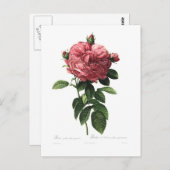 ロザガリカフローレギカテオ ポストカード (正面/裏面)