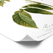 ロザガリカプリオビオラ ポスター (角)