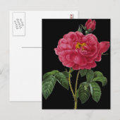 ロザガリカ ポストカード (正面/裏面)