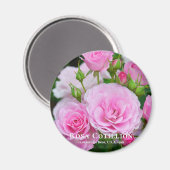 ロザコティリオン マグネット (正面/裏面)