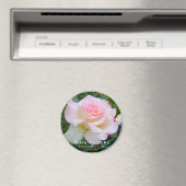 ロザマティルダ マグネット (インサイチュ (食洗機))