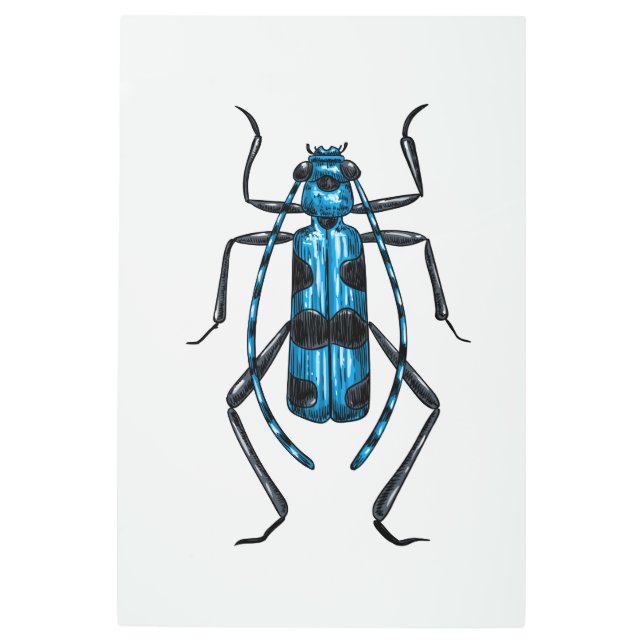 ロザリアアルピナビートル メタルプリント (正面)