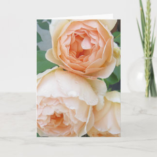 ロザ·ジュード·ザ·アブスキュ空白のアカード カード