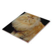 ロシアので長い毛猫 タイル (側面)