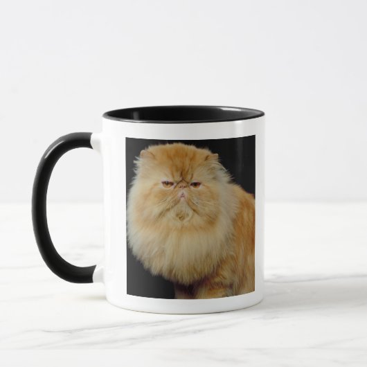 ロシアので長い毛猫 マグカップ (左)