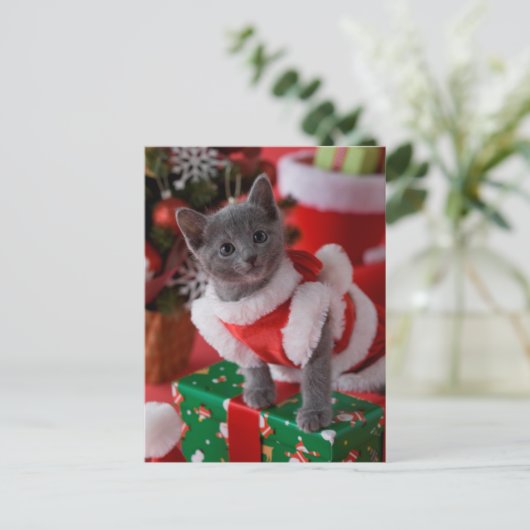 ロシアので青い子ネコおよびクリスマス2 シーズンポストカード (スタンド正面)