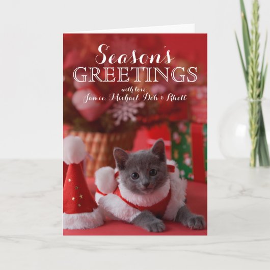 ロシアので青い子ネコおよびクリスマス シーズンカード (正面)