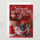 ロシアので青い子ネコおよびクリスマス シーズンカード (正面/裏面)