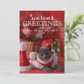 ロシアので青い子ネコおよびクリスマス シーズンカード (スタンド正面)