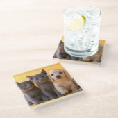 ロシアので青い子ネコおよびダックスフントの子犬 ガラスコースター (アングル)