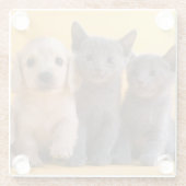 ロシアので青い子ネコおよびダックスフントの子犬 ガラスコースター (裏面)