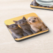 ロシアので青い子ネコおよびダックスフントの子犬 コースター (左側)