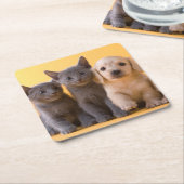 ロシアので青い子ネコおよびダックスフントの子犬 スクエアペーパーコースター (アングル)