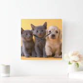 ロシアので青い子ネコおよびダックスフントの子犬 スクエア壁時計 (ホーム)