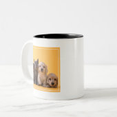 ロシアので青い子ネコおよびダックスフントの子犬 ツートーンマグカップ (正面左)