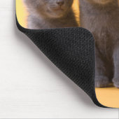 ロシアので青い子ネコおよびダックスフントの子犬 マウスパッド (コーナー)