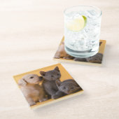 ロシアので青い子ネコ及びダックスフントの子犬 ガラスコースター (アングル)