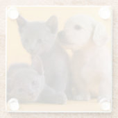 ロシアので青い子ネコ及びダックスフントの子犬 ガラスコースター (裏面)