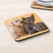 ロシアので青い子ネコ及びダックスフントの子犬 コースター (左側)