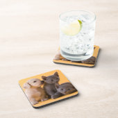 ロシアので青い子ネコ及びダックスフントの子犬 コースター (右側)