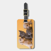 ロシアので青い子ネコ及びダックスフントの子犬 ラゲッジタグ (正面縦)