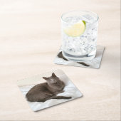 ロシアのな青猫のコースター スクエアペーパーコースター (インサイチュ)