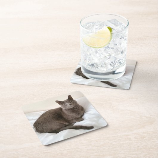 ロシアのな青猫のコースター スクエアペーパーコースター (インサイチュ)