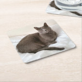 ロシアのな青猫のコースター スクエアペーパーコースター (アングル)