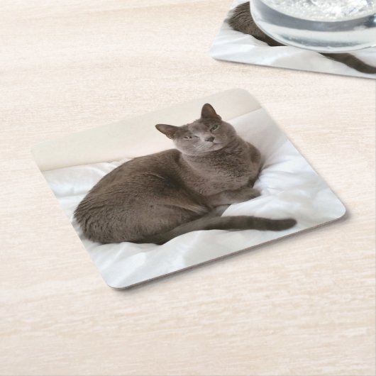 ロシアのな青猫のコースター スクエアペーパーコースター (アングル)