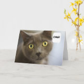 ロシアのな青猫のバースデー・カード カード (黄色い花)