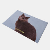 ロシアのな青猫の凝視 ドアマット (アングル)