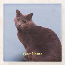 ロシアのな青猫の見ること