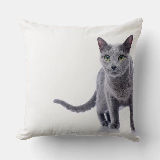 ロシアのな青猫 クッション (正面)