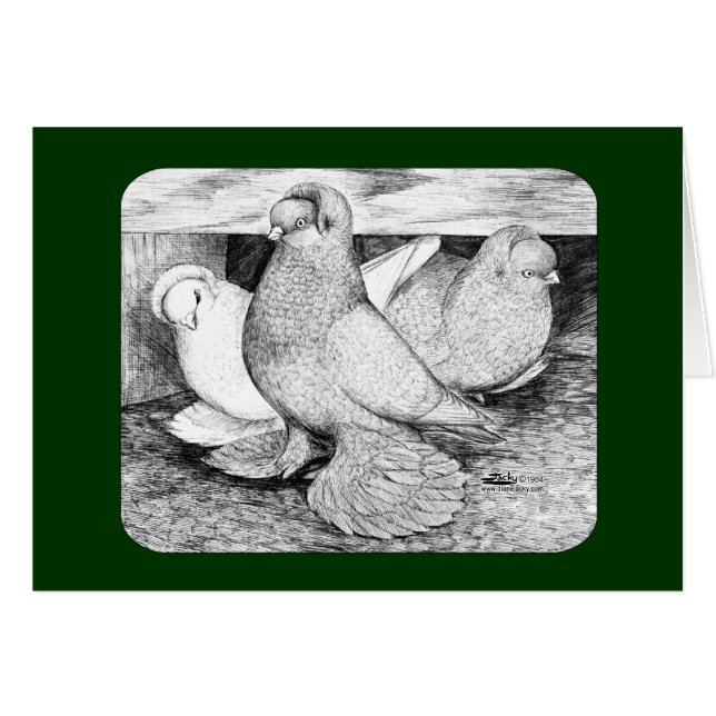 ロシアのタンブラー鳩1984 (正面横)