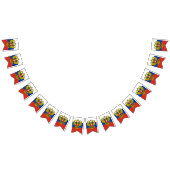 ロシアの国旗とパーティーロシアのバナー/結婚式 バンティングフラッグ (全)