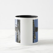 ロシアの進度35P マグカップ (中央)