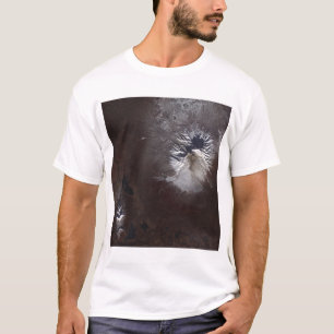 ロシアのShiveluchのvolcanoïÂの¿ Âの½ s slの汚れに灰を振りかけて下さい Tシャツ