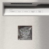 ロシアンブルーの灰色猫の態度ユーモア マグネット (インサイチュ (食洗機))