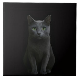 ロシアンブルーの猫が描かれたブラック4ラグジュアリータイル タイル
