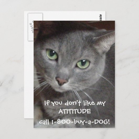 ロシアンブルーグレーの猫の態度ユーモア ポストカード (正面/裏面)