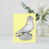 ロシアン・タンブラー・ピージョン ポストカード (スタンド正面)